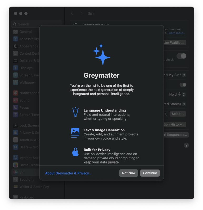 Apple iOS18 AI工具方案Project Greymatter界面流出，根据此前WWDC介绍，Greymatter是主要面向Safari、Photos和Notes等核心应用和部分操作系统功能