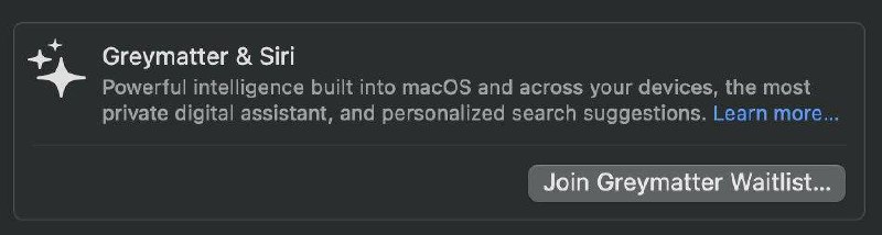 Apple iOS18 AI工具方案Project Greymatter界面流出，根据此前WWDC介绍，Greymatter是主要面向Safari、Photos和Notes等核心应用和部分操作系统功能