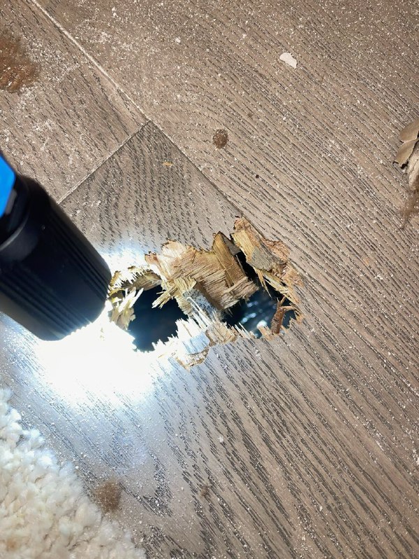 NASA确认来自空间站的碎片坠入佛罗里达家中NASA已证实，上月击中佛罗里达家庭屋顶的金属片是来自国际空间站的太空垃圾