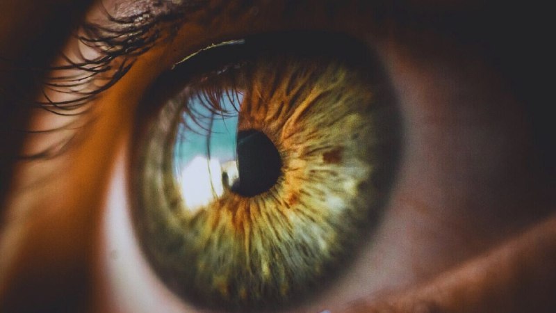 研究发现，AI分析的3D眼部扫描可以检测出帕金森症的迹象一项新的研究发现，眼科诊所和商业街眼镜店使用的3D眼部扫描可以帮助在临床症状出现前大约7年发现帕金森病的迹象