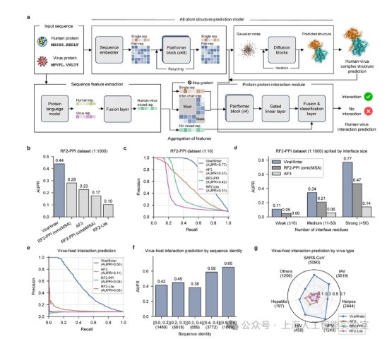上海 AI 实验室发布创新 ViraHInter 模型，提升抗病毒药物研发效率上海人工智能实验室联合复旦大学、上海交通大学医学院附属瑞金医院及上海市病毒研究院，推出了一款名为 ViraHInter 的全新 AI 预测模型