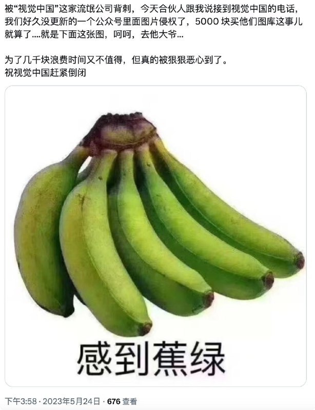 推友被“视觉中国”这家流氓公司背刺，侵权图片如上图