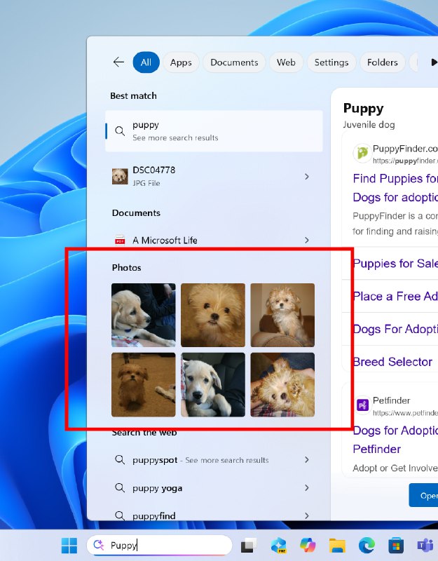 微软在Windows 11搜索框中增加图片搜索 匹配后直接显示窗格预览微软昨天夜里推出 Windows 11 Beta 26120.5722 和 Dev Build 26200.5722 版，这次更新微软带来实用新功能：根据本地索引结果展示图片搜索结果