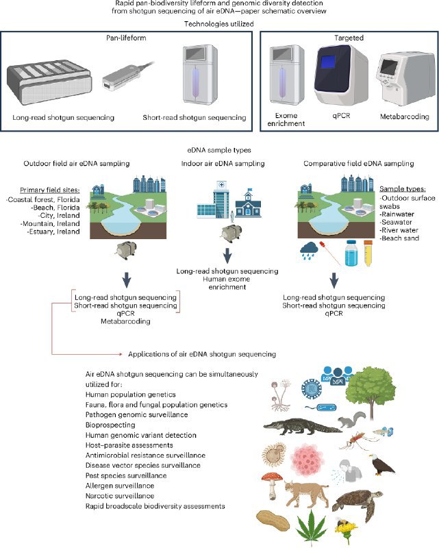 空气里的DNA秘密：科学家利用“空气指纹”追踪万物在美国佛罗里达州的实验中，研究人员从空气中检测到山猫、响尾蛇、蝙蝠等多种野生动物，以及具有不同人类祖先的DNA片段