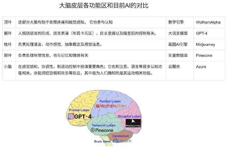 AI和大脑皮层功能区的对比图 ( 来源 )via chatGPT中文社区 - Telegram Channel
