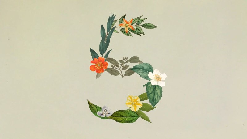 Anthropic以更低价格推出接近Opus性能的Claude Sonnet 5Anthropic 今日正式发布新的大语言模型 Claude Sonnet 5，定位为更实惠的中高阶型号，在性能上显著缩小与旗舰级 Opus 系列之间的差距