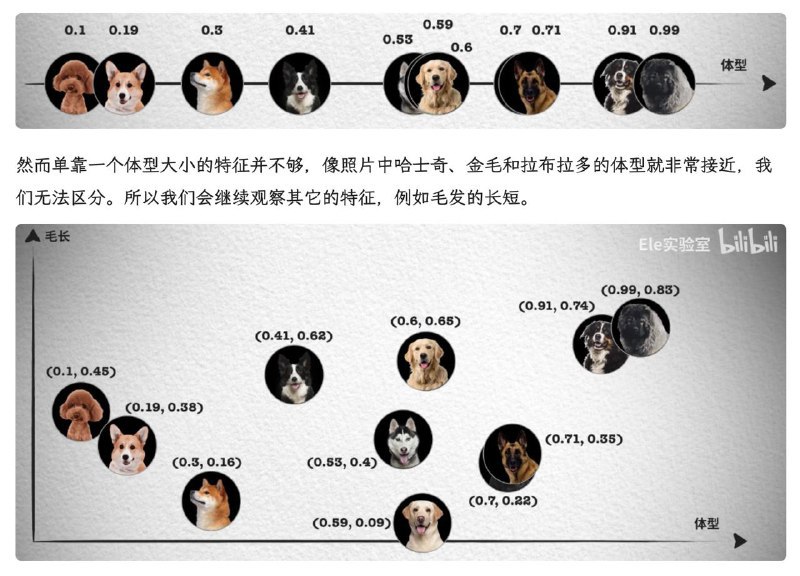 本文主要介绍了向量数据库的原理和实现，包括向量数据库的基本概念、相似性搜索算法、相似性测量算法、过滤算法和向量数据库的选型等等