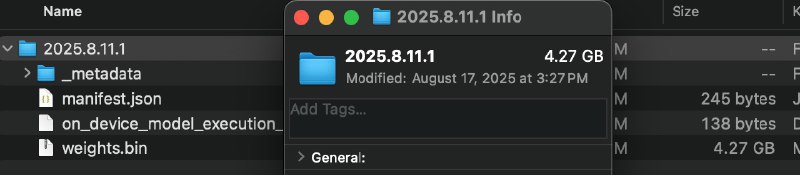 Google Chrome 默认下载 4GB 本地 AI 模型 Gemini NanoGoogle Chrome 浏览器被发现在默认配置下自动下载约 4GB 的 Gemini Nano 本地 AI 模型文件