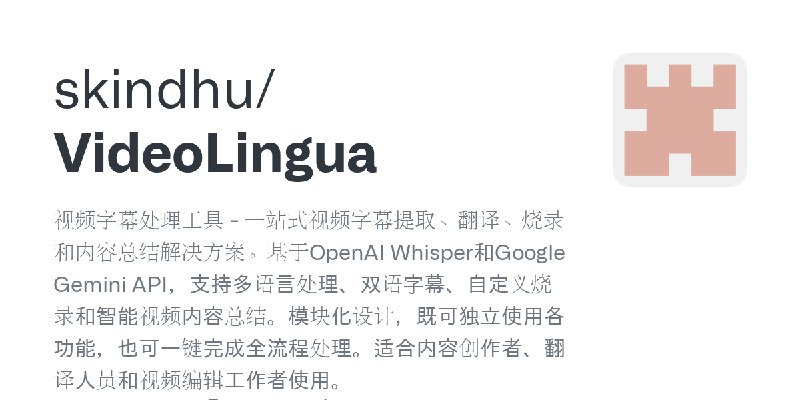 #字幕 视频字幕处理工具 - 一站式视频字幕提取、翻译、烧录和内容总结解决方案