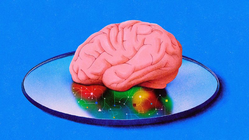 🧠 AI与神经科学：关于大脑学习的新理论人工智能先驱杰弗里·辛顿的工作彻底改变了人工神经网络，启发了像ChatGPT这样的模型