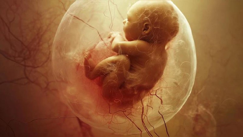 硅谷巨头秘密投资基因编辑婴儿项目旧金山初创公司 Preventive 获得 OpenAI 首席执行官山姆·奥特曼及 Coinbase 联合创始人布莱恩·阿姆斯特朗等科技巨头投资，正秘密推进以未来实现基因编辑婴儿为目标的胚胎基因编辑临床前研究